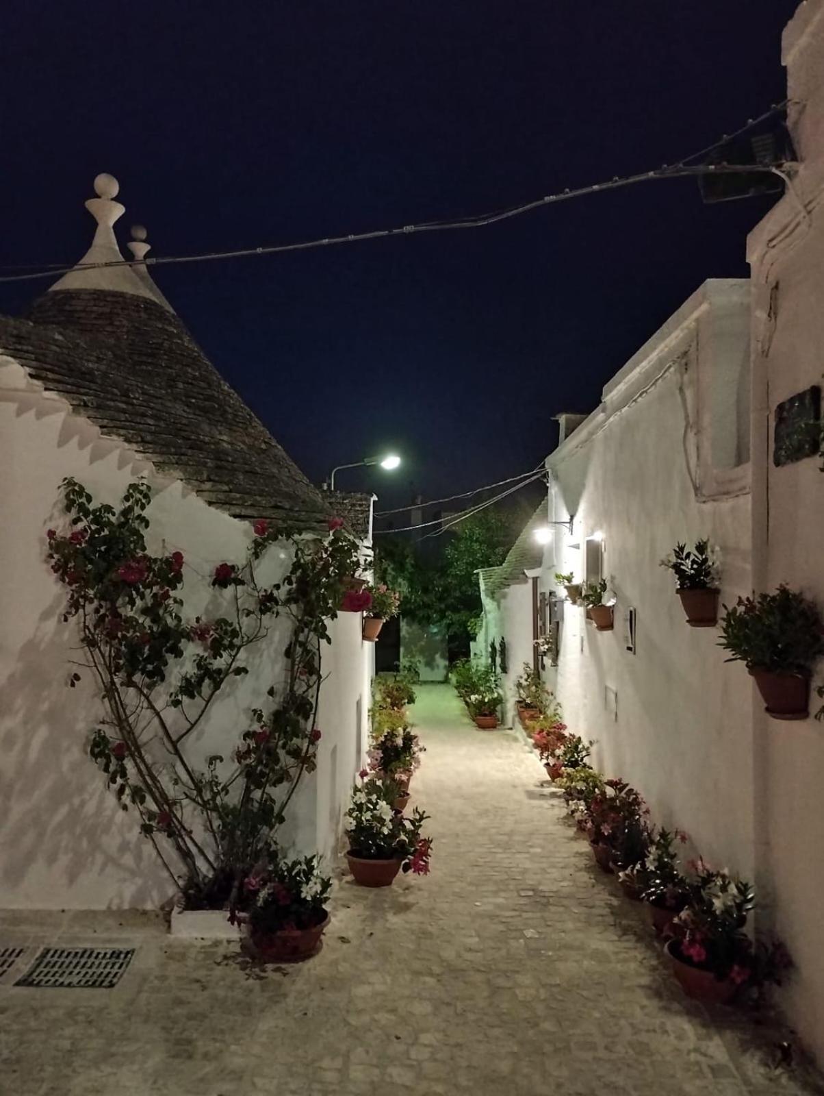 アルベロベッロ Trullo "Vicolo Fiorito"ヴィラ エクステリア 写真
