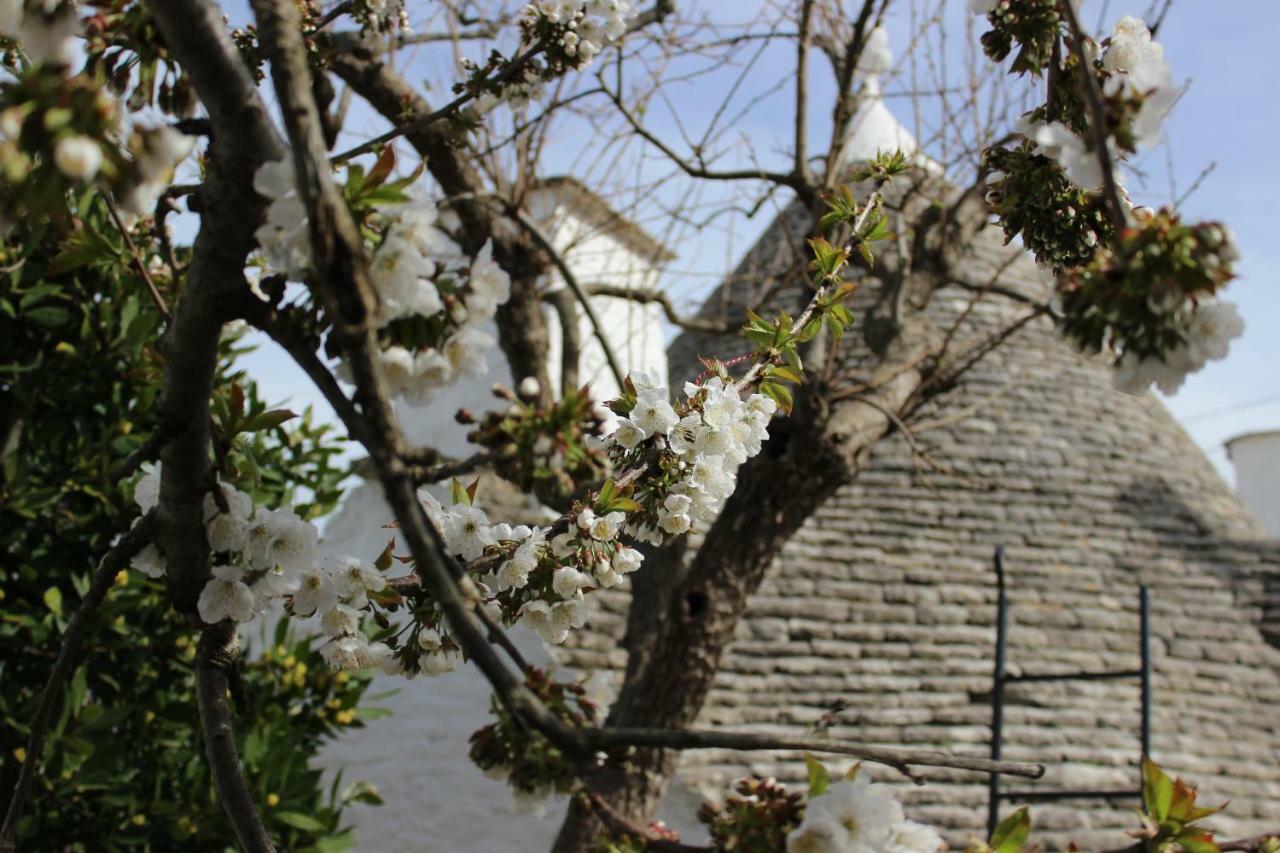 アルベロベッロ Trullo "Vicolo Fiorito"ヴィラ エクステリア 写真